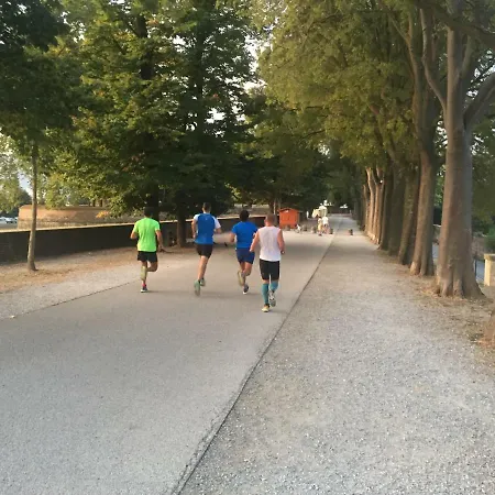 Dependance Civitali37 * Lucca
