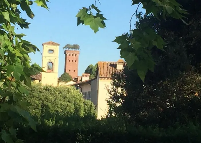 Dependance Civitali37 *